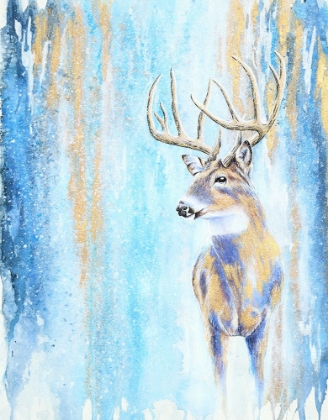 Picture of WINTER BUCK