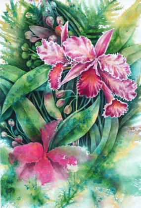 Picture of PINK ORCHID