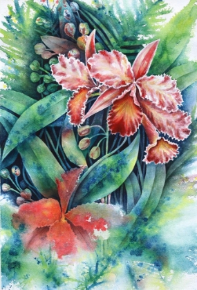 Picture of RED ORCHID