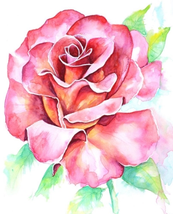 Picture of ROSE