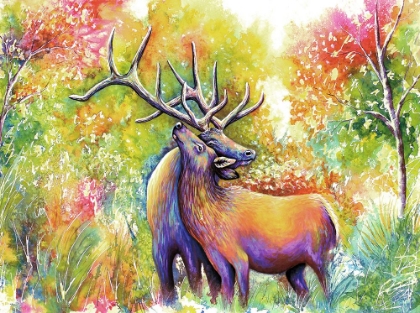 Picture of ELK LOVE