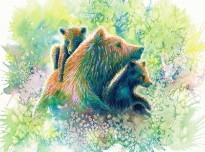 Picture of MOTHER GRIZZLY BEAR