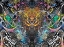 Picture of CERNUNNOS