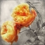 Picture of DAN LE JARDIN