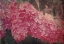 Picture of VINTAGE LILACS DEUX