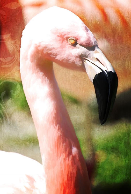 Picture of PINK FLAMINGO I