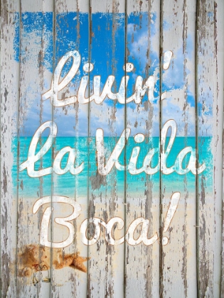 Picture of LIVIN LA VIDA BOCA