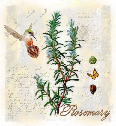 Picture of ROSEMARY HERB