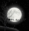 Picture of MOON BATH I