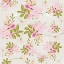 Picture of PINK FLORAL PATTERN