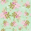 Picture of PINK MINT FLORAL PATTERN