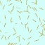 Picture of PALE AQUA GOLDEN MATCHSTICK CONFETTI