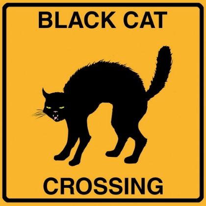 Picture of BLACK CAT CROSSING