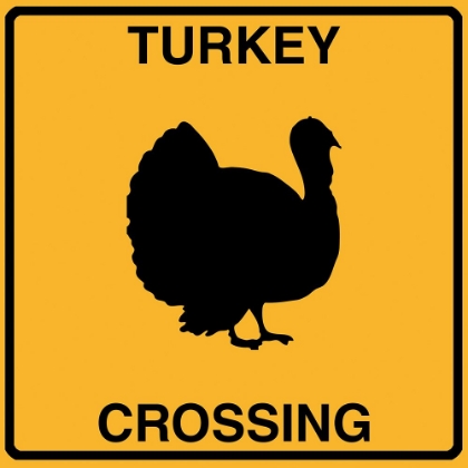 Picture of TURKEY CROSSING