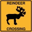 Picture of REINDEER CROSSING