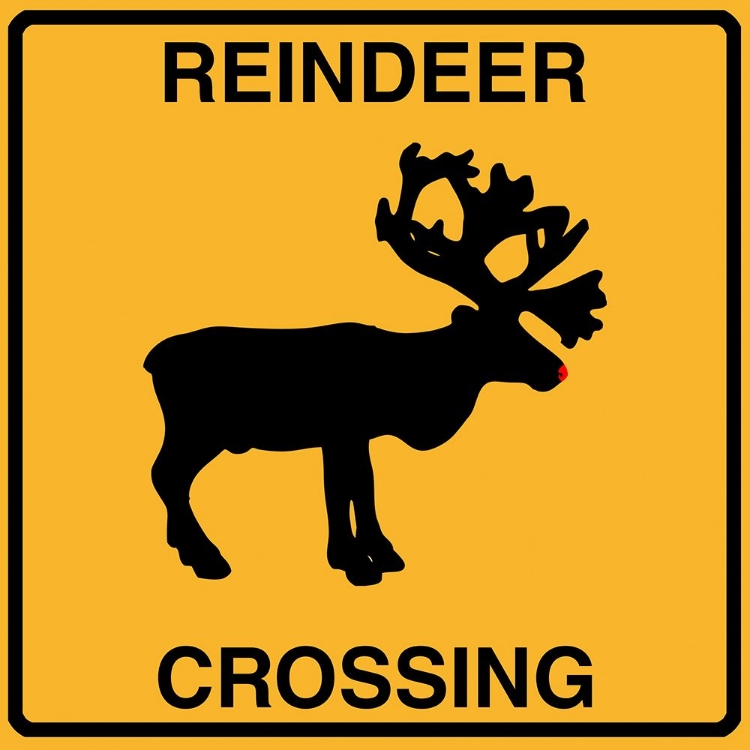 Picture of REINDEER CROSSING