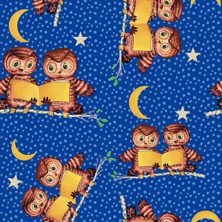 Picture of CUTE BABY OWLS STARRY NIGHT PATTERN