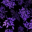 Picture of PURPLE LEAVES
