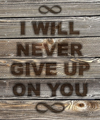Picture of I WILL NEVER GIVE UP ON YOU