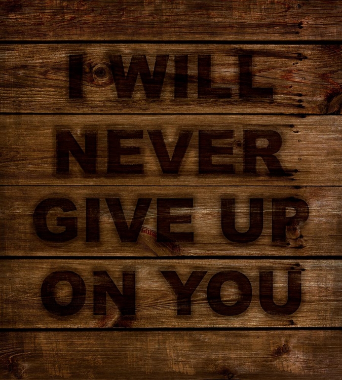 Picture of NEVER GIVE UP