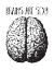 Picture of BRAINS ARE SEXY BLACK