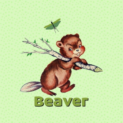 Picture of CUTE BABY BEAVER