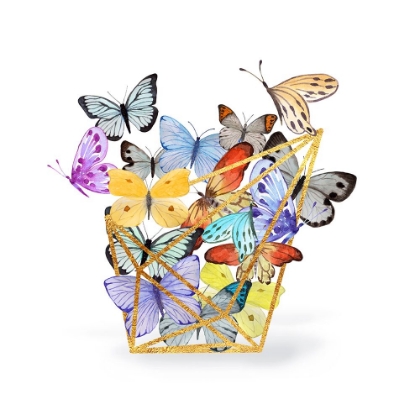 Picture of BUTTERFLY TERRARIUM