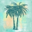 Picture of TROPICALIFORNIA II