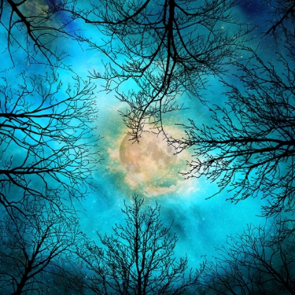 Picture of EVENING