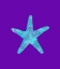 Picture of SPONGE SEA STAR AQUA