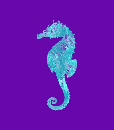 Picture of SPONGE SEAHORSE AQUA