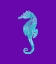 Picture of SPONGE SEAHORSE AQUA