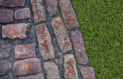 Picture of OLD MONTREAL COBBLESTONES AND GRASS 01