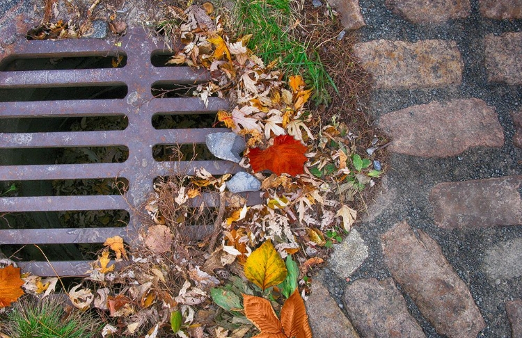 Picture of OLD MONTREAL METAL GRATE 03