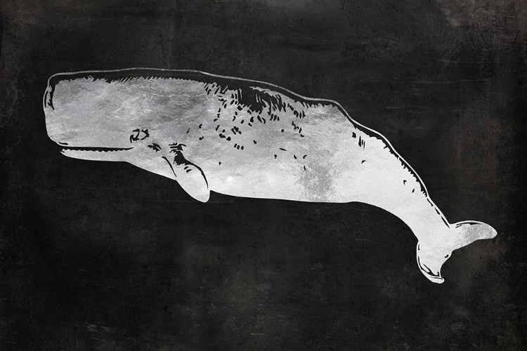 Picture of SPERM WHALE