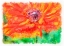 Picture of MS POPPY