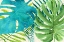 Picture of RAINFOREST CANOPY