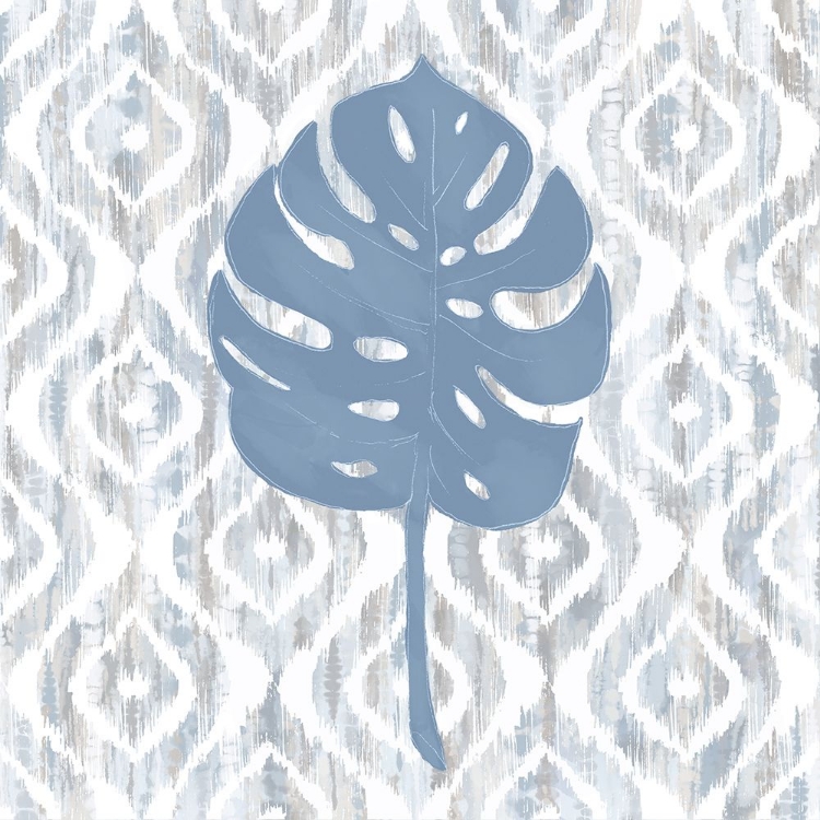Picture of BOHO MONSTERA