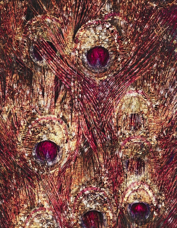 Picture of GOLDEN RUBY PEACOCK FEATHERS