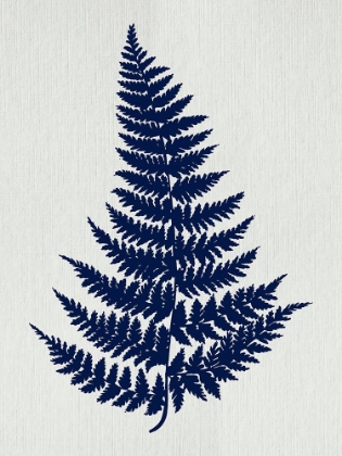 Picture of INDIGO FERN BOTANICAL I