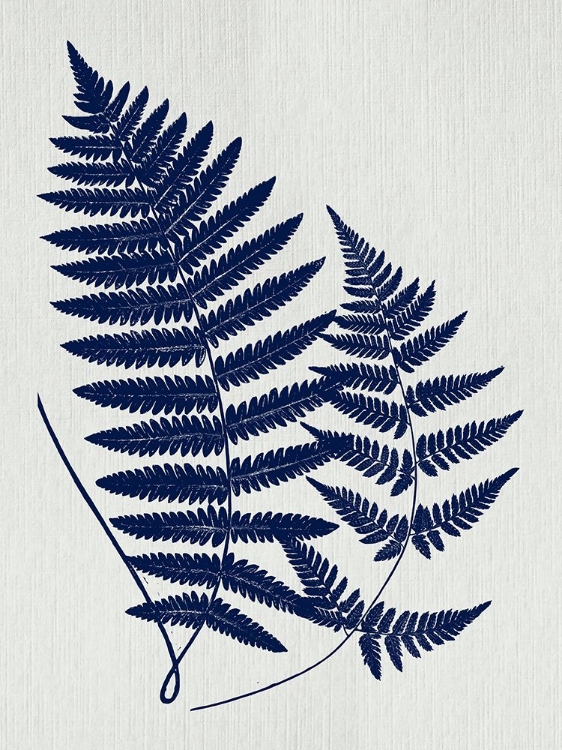 Picture of INDIGO FERN BOTANICAL II