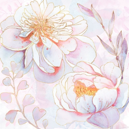 Picture of MAISIES PEONIES
