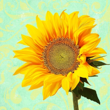 Picture of SUMMER SUNFLOWER