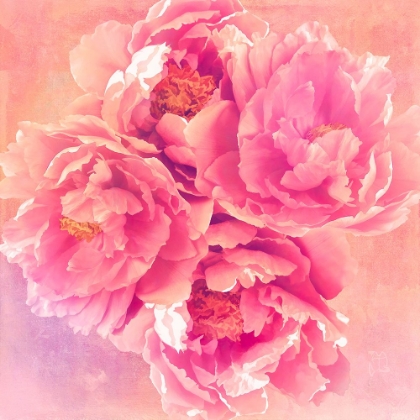 Picture of PEONY GARDEN