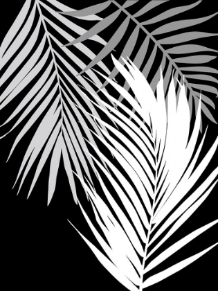 Picture of TROPICS IN BLACK AND WHITE II