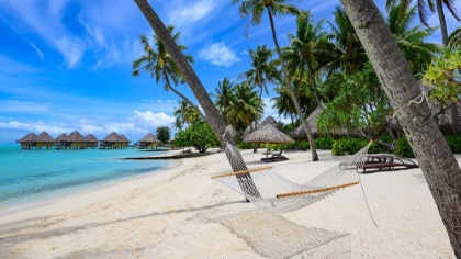 Picture of PARADISE HAMMOCK