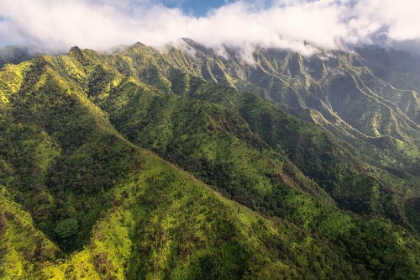 Picture of NA PALI GREEN