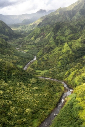 Picture of HANALEI VALLEY I