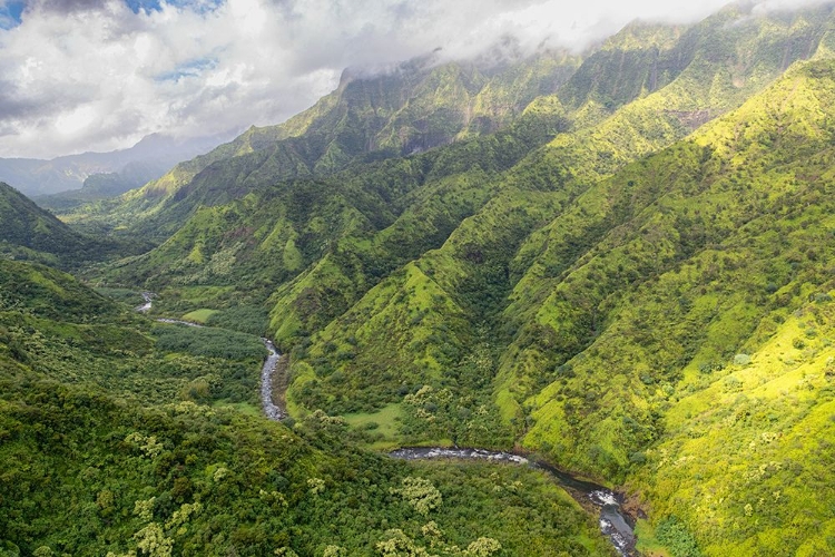 Picture of HANALEI VALLEY II