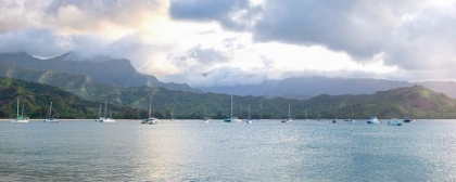 Picture of HANALEI PANO I